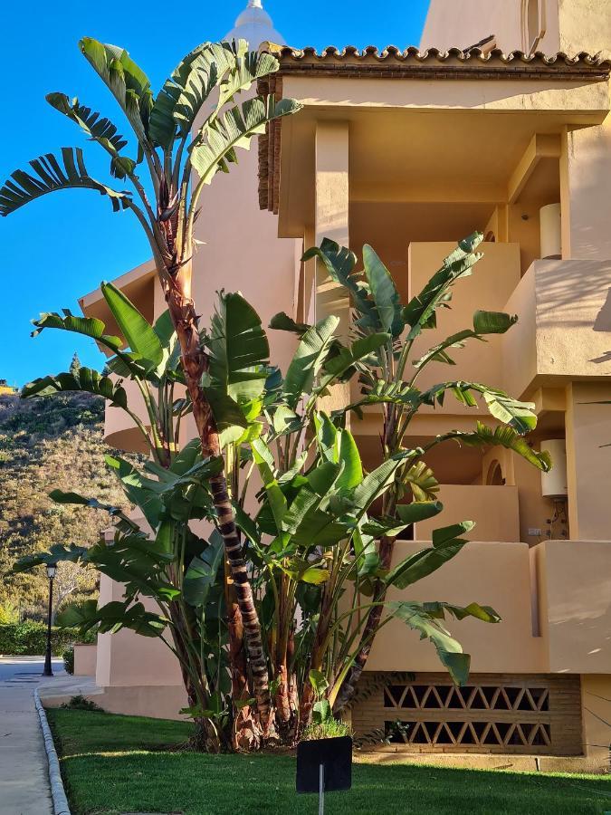 Apartment Beautiful Flat Close To The Beaches